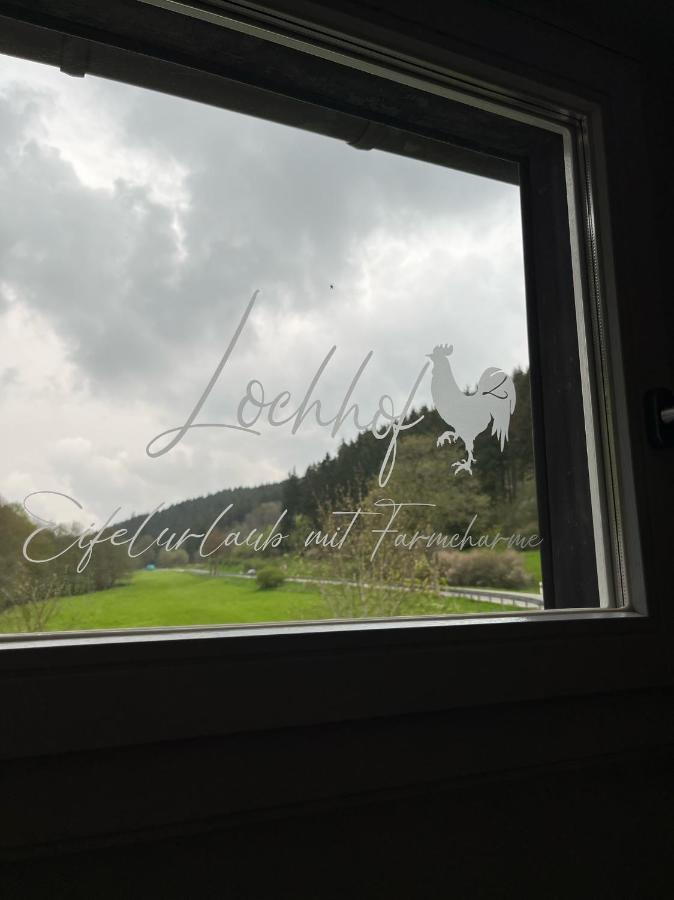 ヘレンタール Lochhof Zwei - Eifelurlaub Mit Farmcharmeヴィラ エクステリア 写真