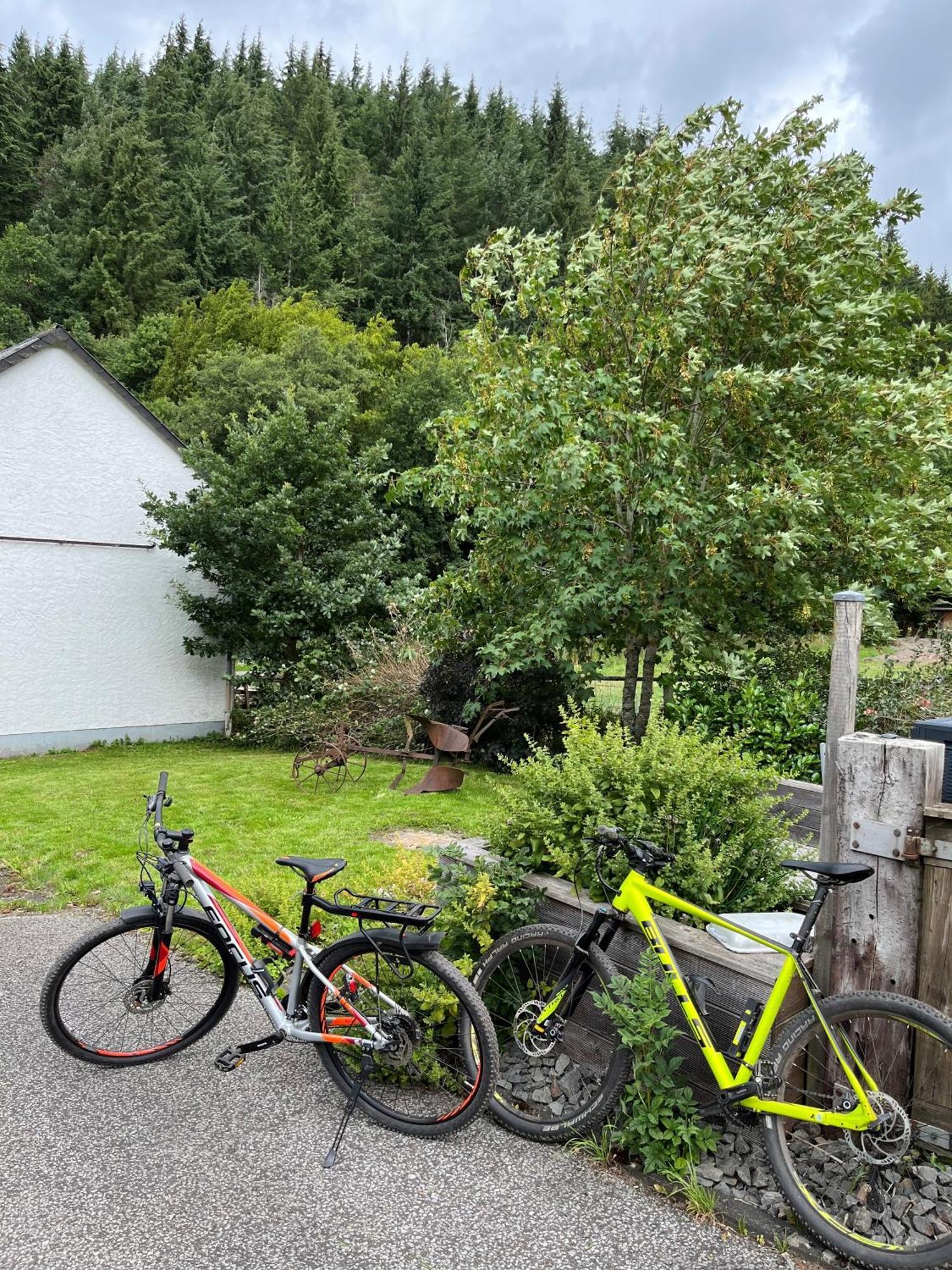 ヘレンタール Lochhof Zwei - Eifelurlaub Mit Farmcharmeヴィラ エクステリア 写真