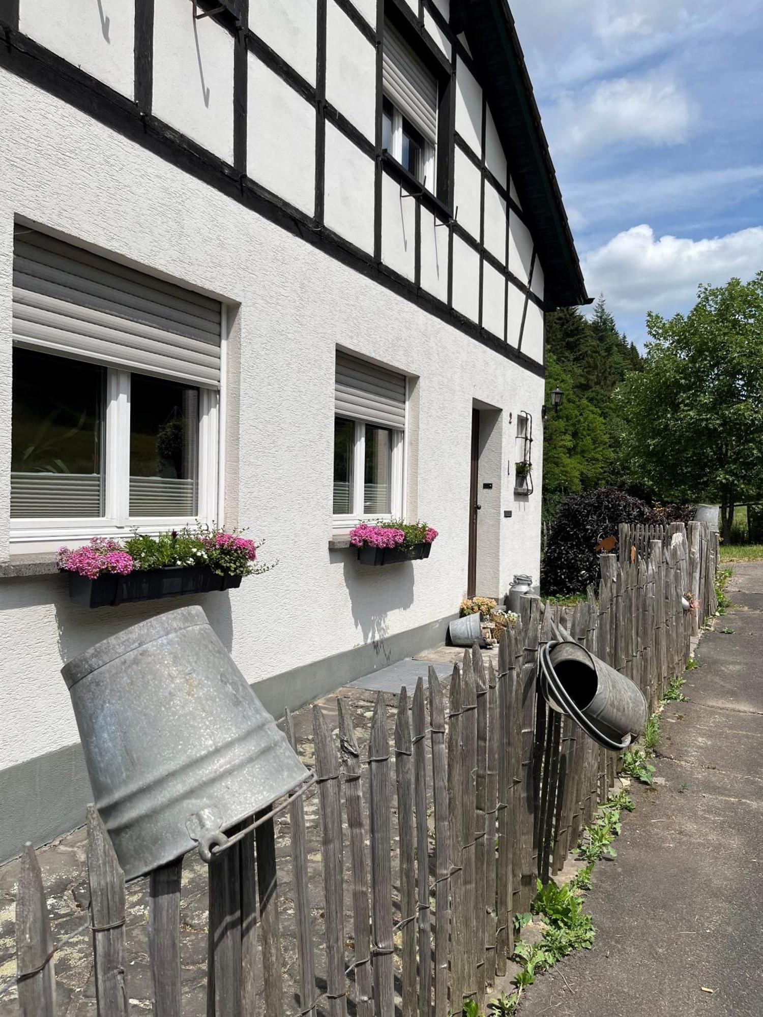 ヘレンタール Lochhof Zwei - Eifelurlaub Mit Farmcharmeヴィラ エクステリア 写真