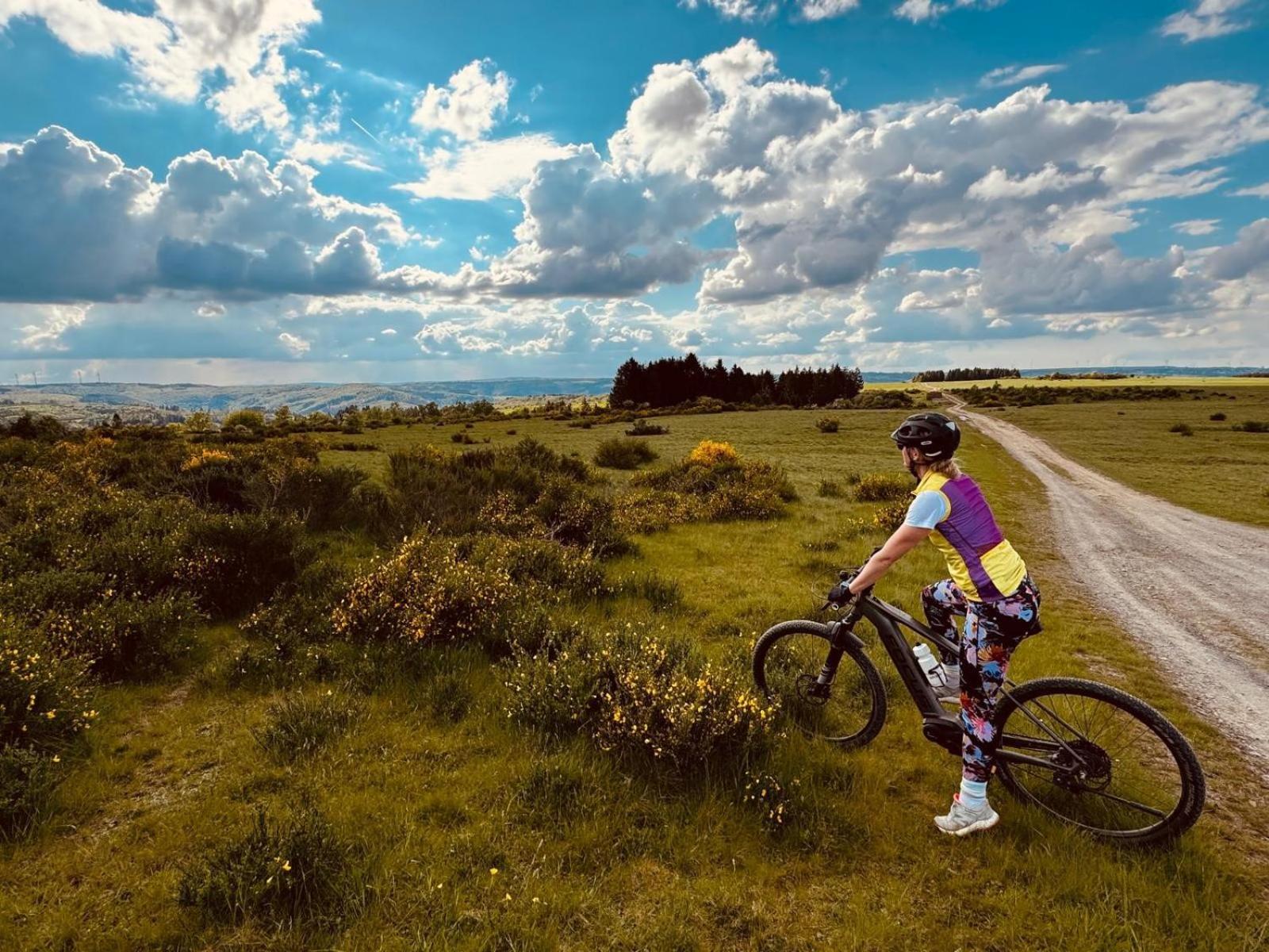 ヘレンタール Lochhof Zwei - Eifelurlaub Mit Farmcharmeヴィラ 部屋 写真